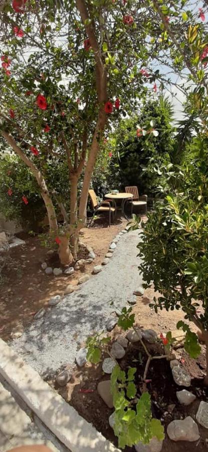 Yialos Studios-Apartments Makrýgialos エクステリア 写真